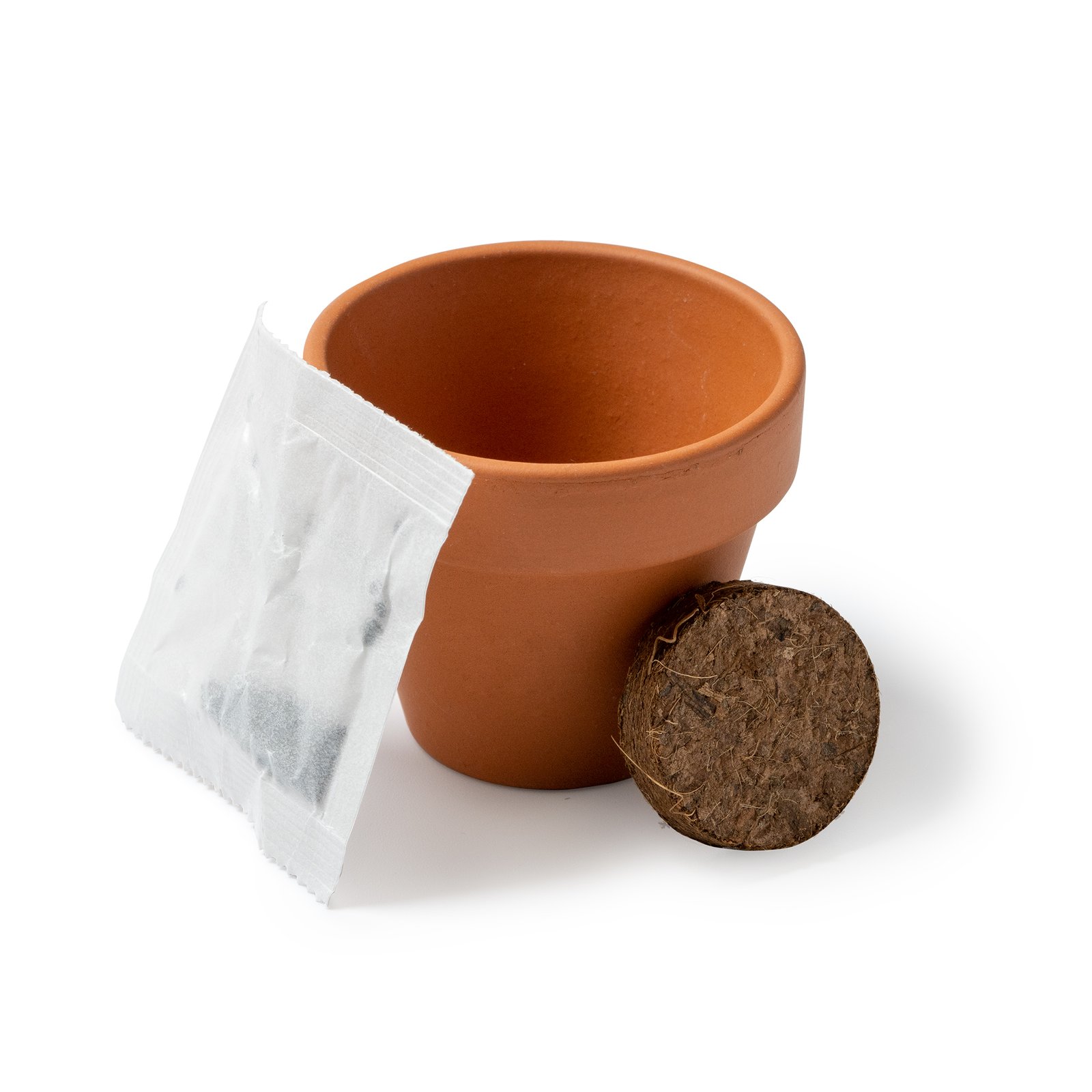 GIRAX - Image 4