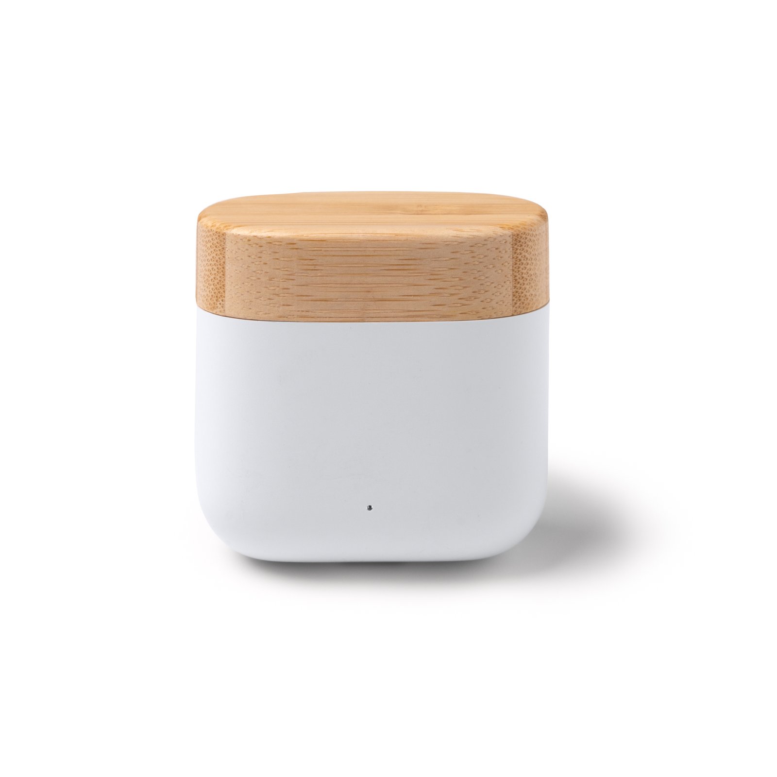 SAURO - Imatge 2