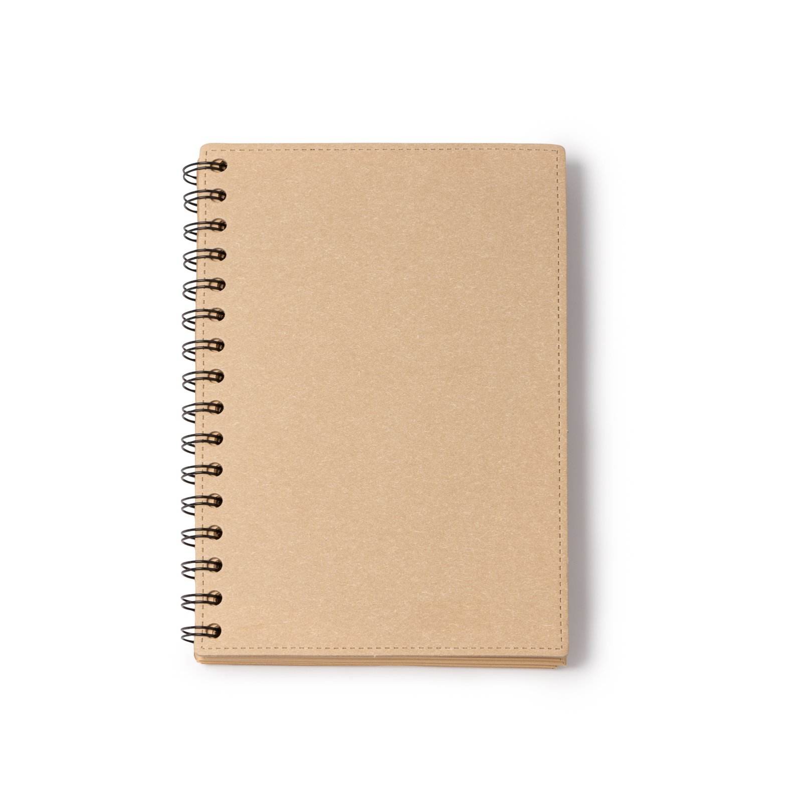 NUSAX - Image 2